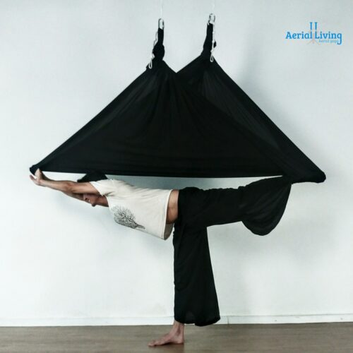 Aerial Yoga Hammock, Anti-Gravity Yoga Inversion Swing Pilates,  Anti-Gravity Yoga Sling Suitable For Beginners And Advanced Practitioners.