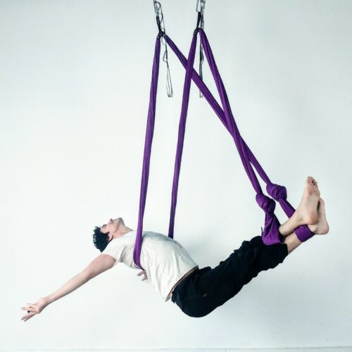 YOGABODY Naturals Yoga Trapeze -Yoga Swing/Sling/Inversion Tool, Purple
